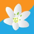 Kavala City Care