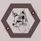 GizmO app