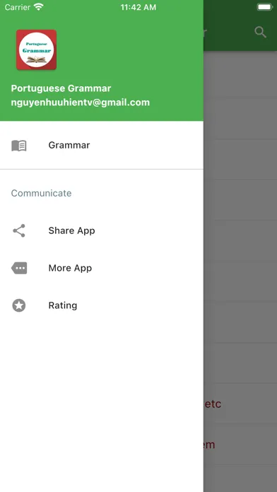 Portuguese Grammar Screenshots