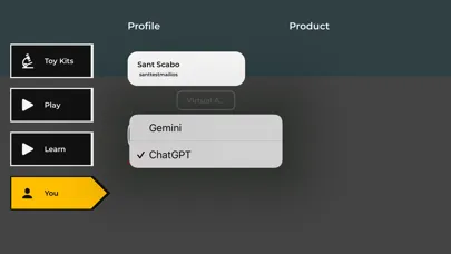 Capturas de pantalla de Sant