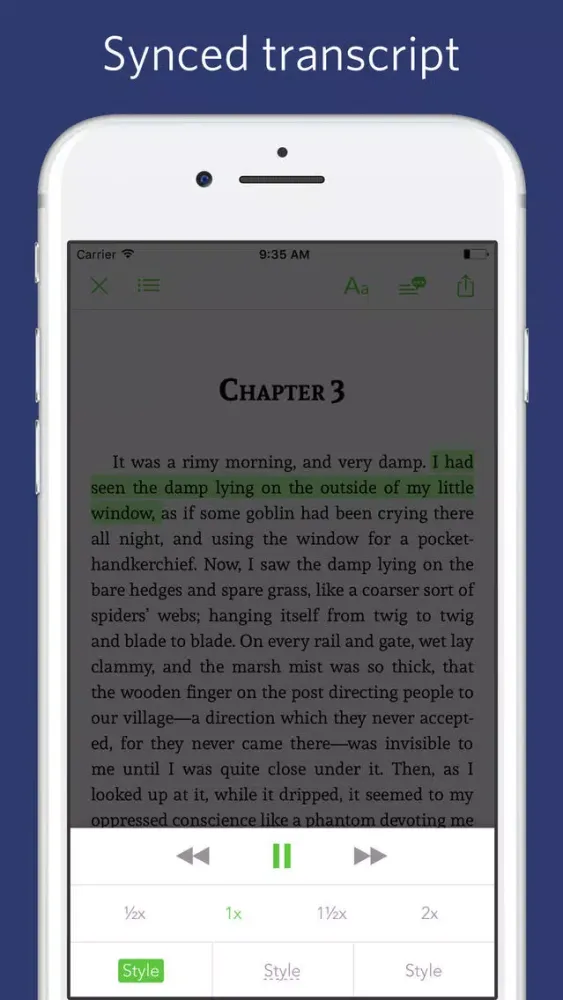 Tangkapan layar Great Expectations - sync transcript, notes