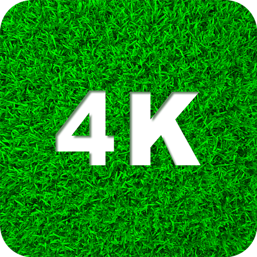 Green Wallpapers 4K Green Wallpapers 4K