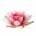 Grief Reiki® Oracle Cards App