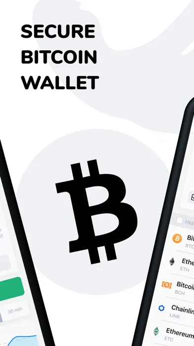 Bitcoin exchange simulator应用截图