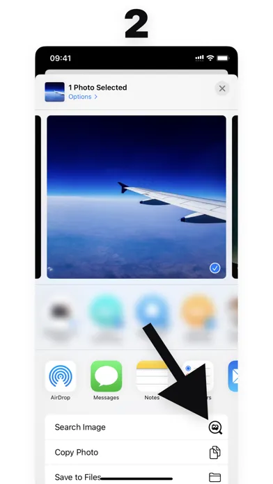 Reverse Image Search: Eye Lens Screenshots