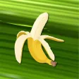 Banano Manager Banano Manager