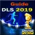 guid for dls 2019 (Tiips)