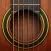 Guitar - Chords, Tabs & Games