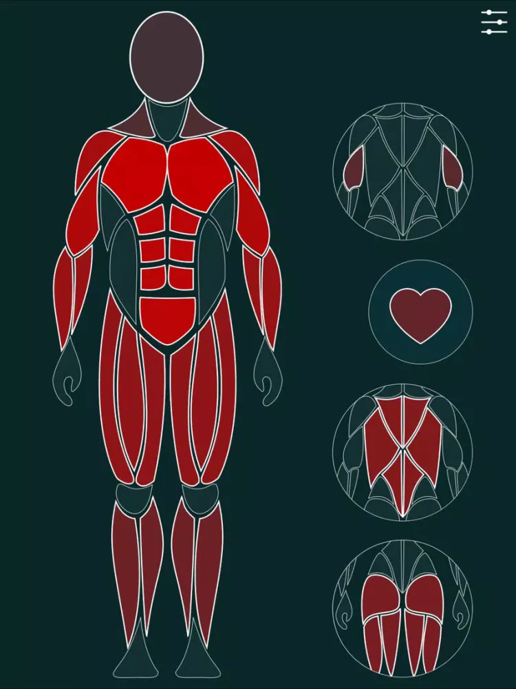 تصاویر Gymap - free visual workout log & interval timer iPad 