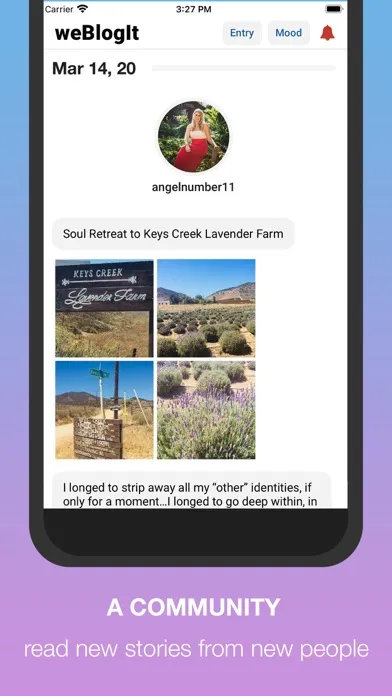 BlogIt - diary, journal, blog سکرین شاٹس