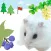 Hamster Walks  *cute hamster