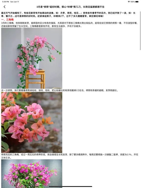 园艺百科 - 庭院植物、室内盆景养花知识大全 iPad  স্ক্রিনশট