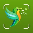 Bird Identifier ID: Snap Sound Bird Identifier ID: Snap Sound