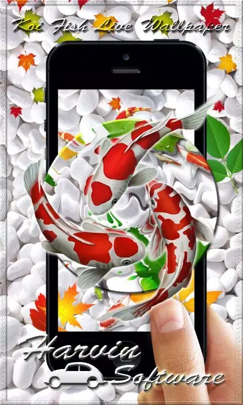 Koi Fish HD Live Wallpaper & 3 Screenshots
