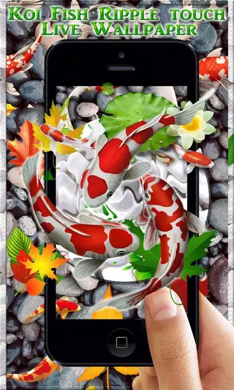 Koi Fish HD Live Wallpaper & 3 Screenshots