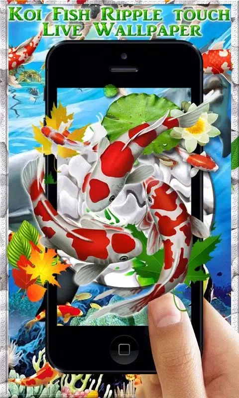 Koi Fish HD Live Wallpaper & 3 Screenshots