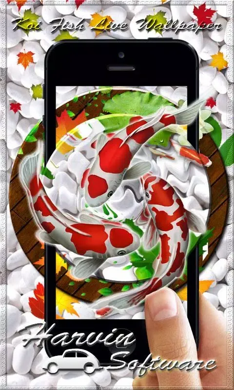Koi Fish HD Live Wallpaper & 3 Screenshots