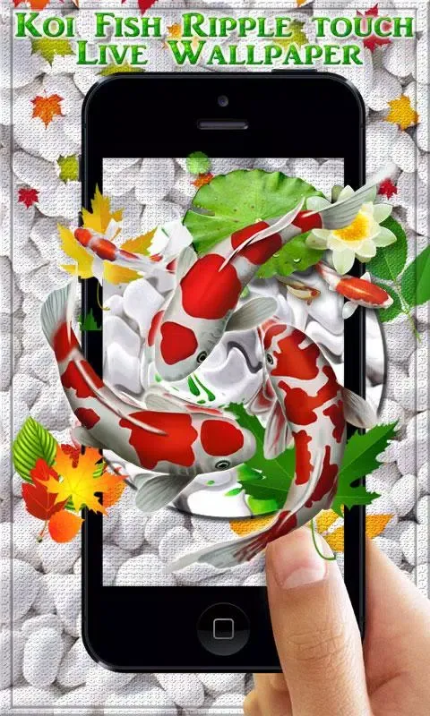 Koi Fish HD Live Wallpaper & 3 Screenshots