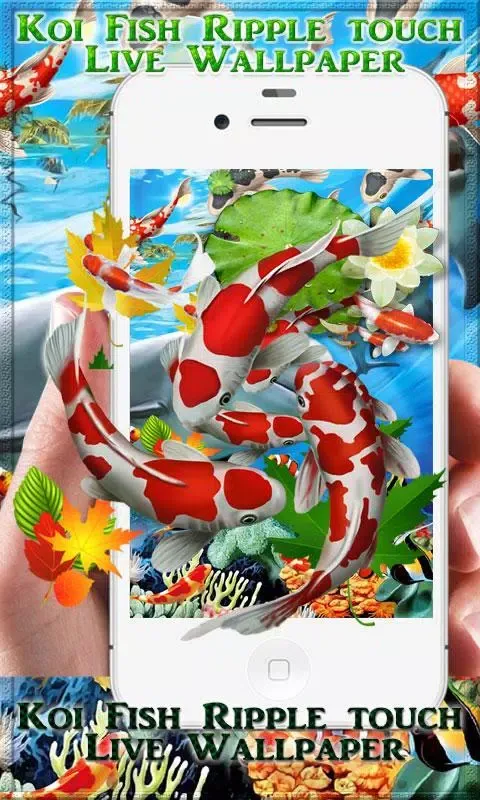 Koi Fish HD Live Wallpaper & 3 Screenshots