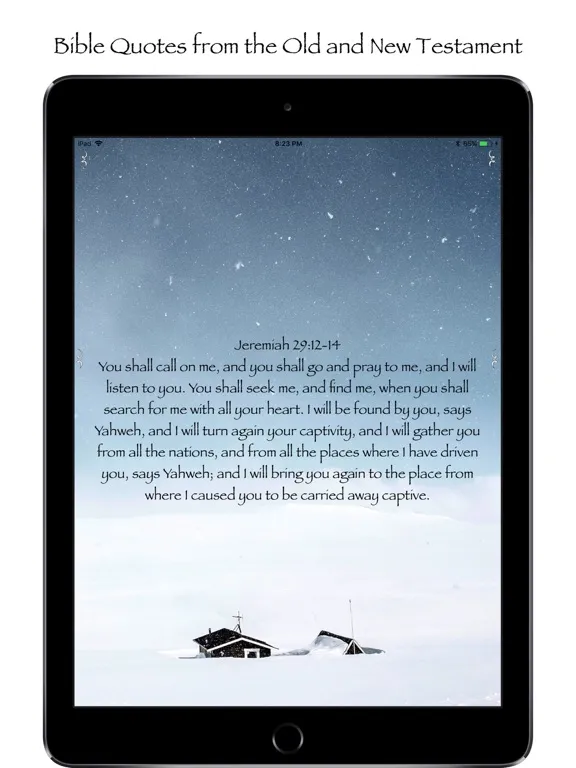 Скриншоты Daily Bible Affirmations iPad 