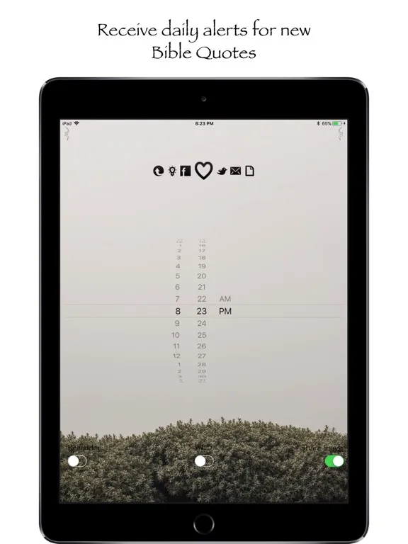 Скриншоты Daily Bible Affirmations iPad 