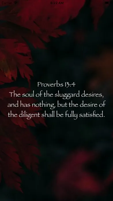 Скриншоты Daily Bible Affirmations