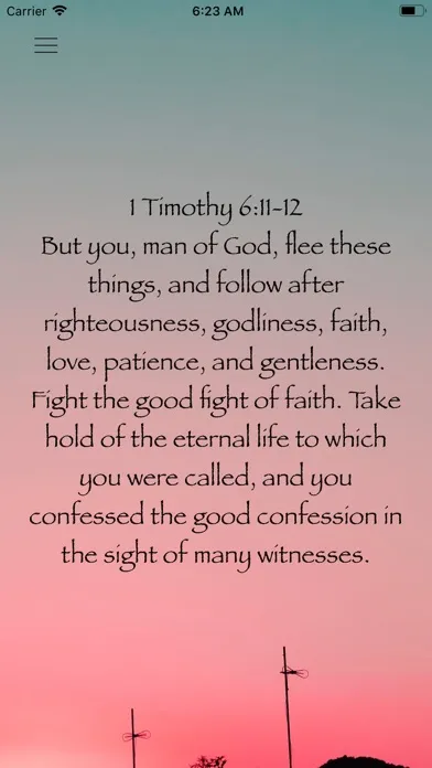 Скриншоты Daily Bible Affirmations