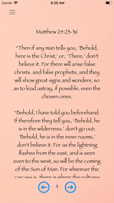 Скриншоты Daily Bible Affirmations