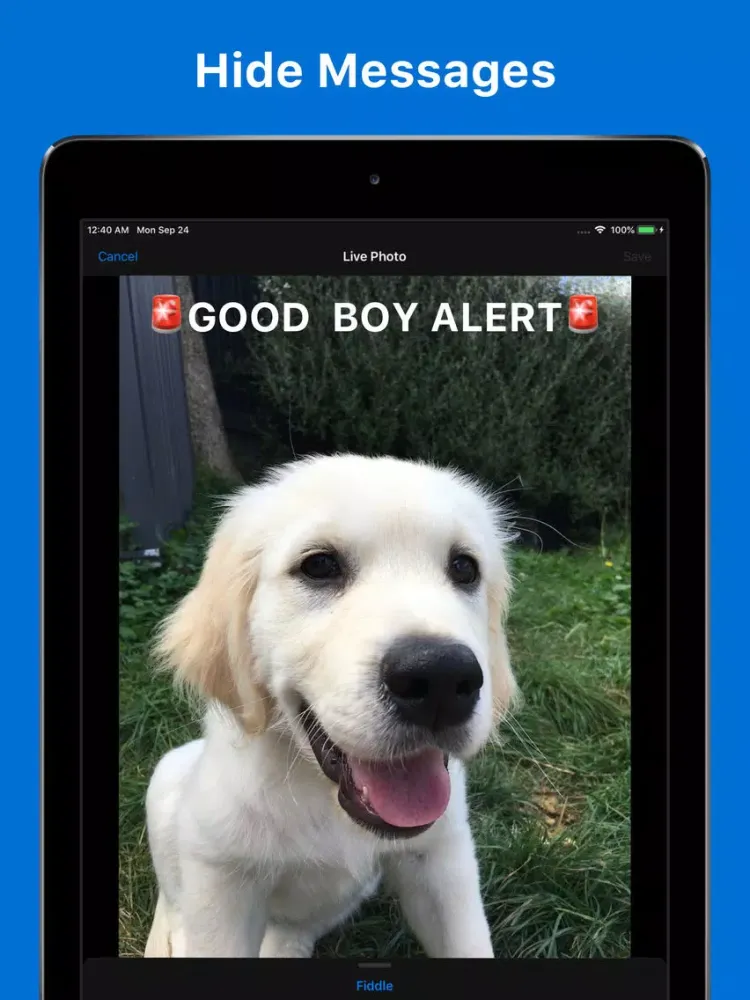 Live Photo Fiddler iPad  Screenshots