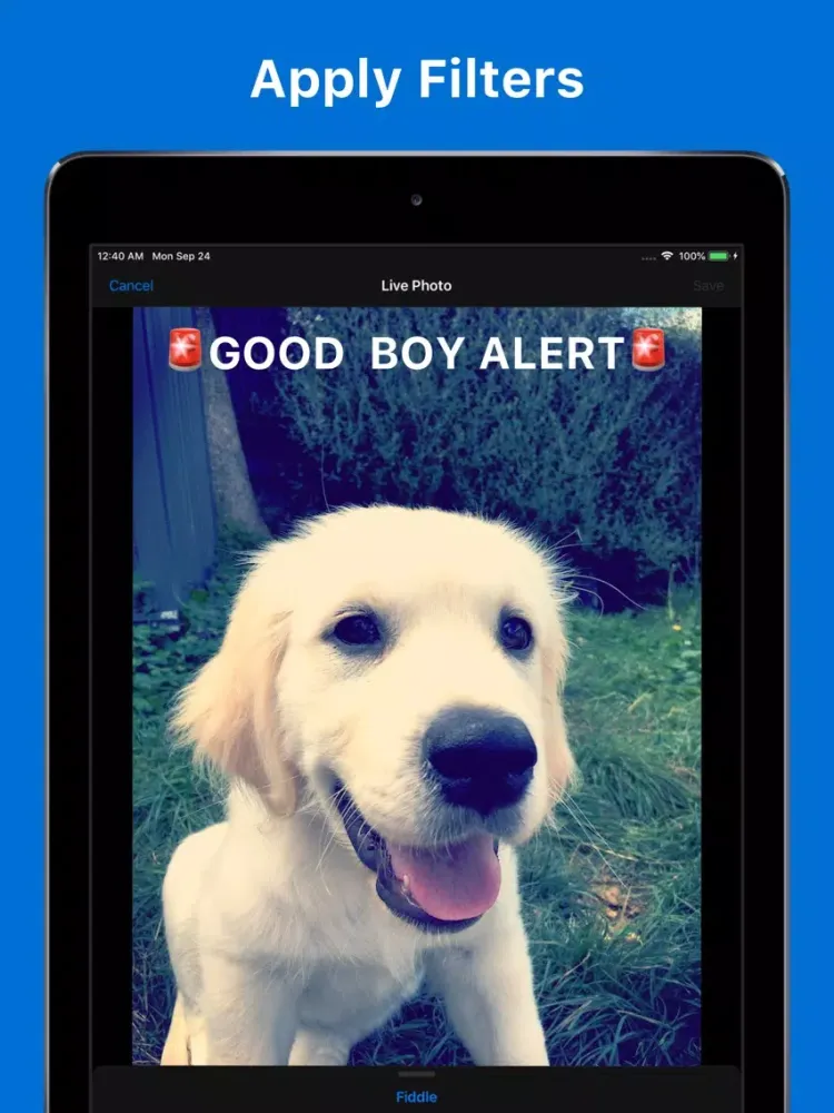 Live Photo Fiddler iPad  Screenshots
