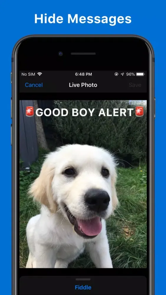 Live Photo Fiddler Screenshots