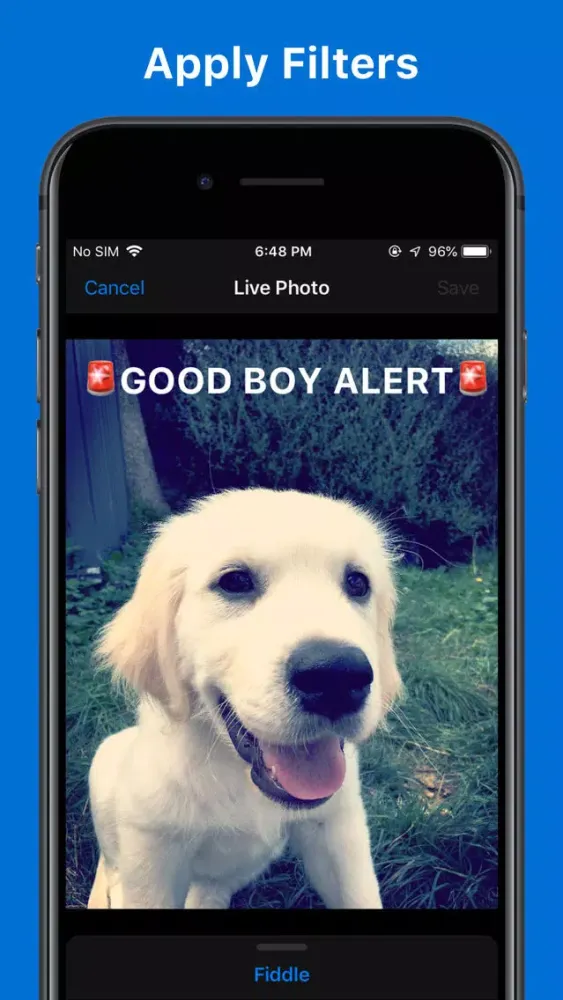 Live Photo Fiddler Screenshots