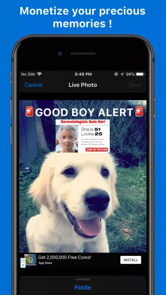 Live Photo Fiddler Screenshots