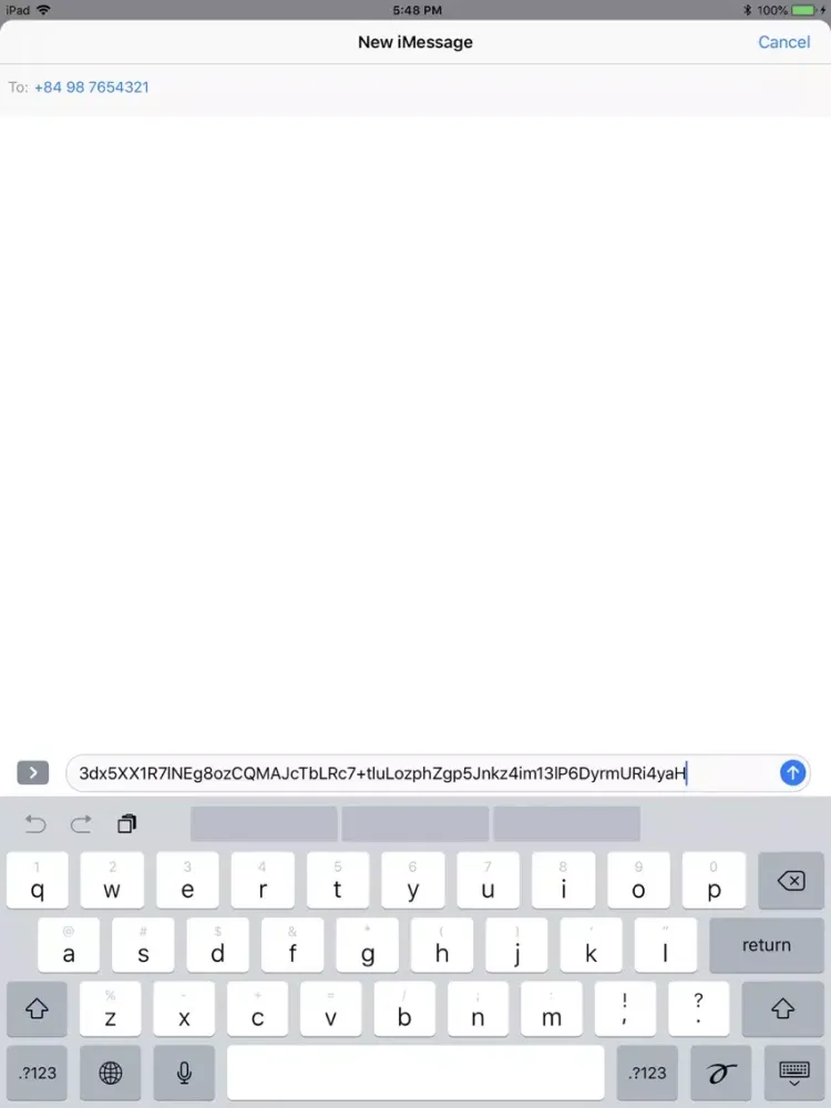 Скриншоты Text Secure iPad 
