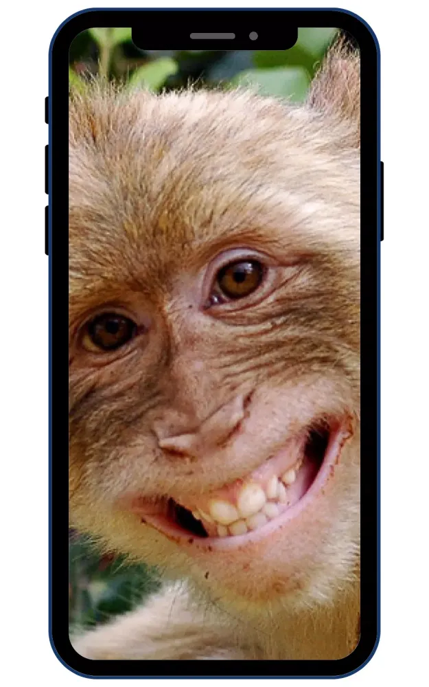 Monkey Wallpaper Screenshots