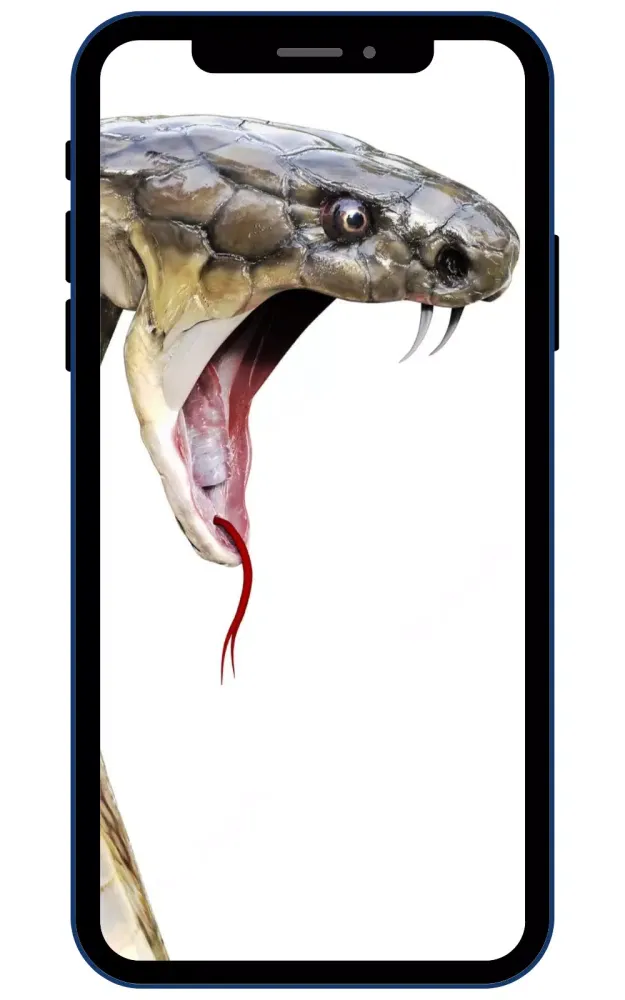 ภาพหน้าจอของ Snake Cobra Wallpapers