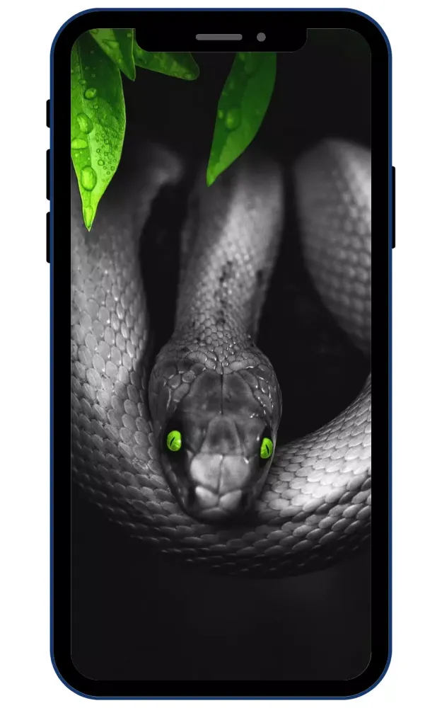 ภาพหน้าจอของ Snake Cobra Wallpapers
