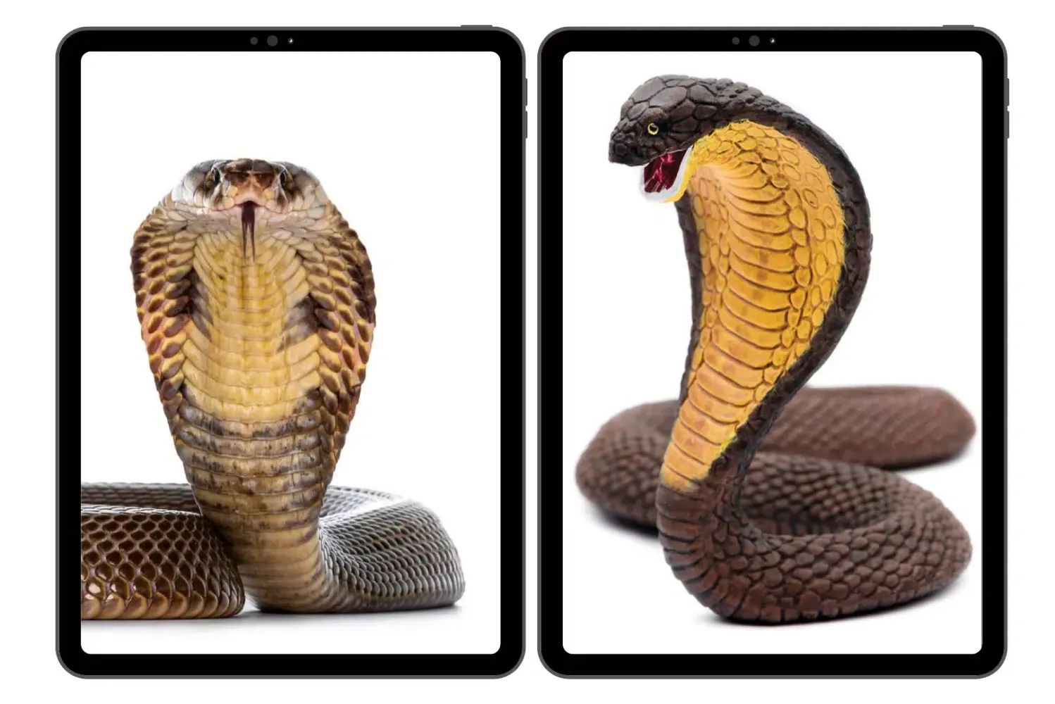 ภาพหน้าจอของ Snake Cobra Wallpapers