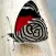 Butterfly Wallpapers