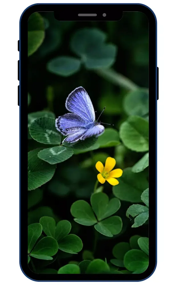 Butterfly Wallpapers Screenshots