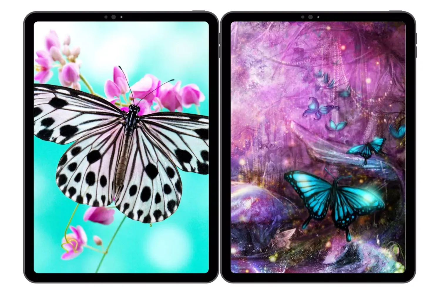Butterfly Wallpapers Screenshots