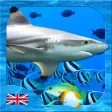 UK Aquariums UK Aquariums