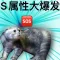 SM属性大爆发