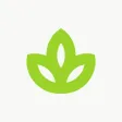 Grow by Bonjour