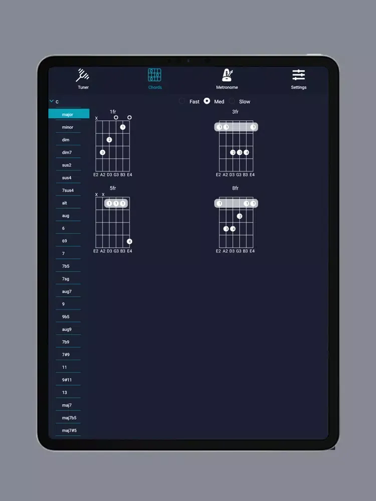 تصاویر Guitar Tuner – Easy Tuner iPad 
