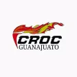 Croc Ejecutivo - Guanajuato