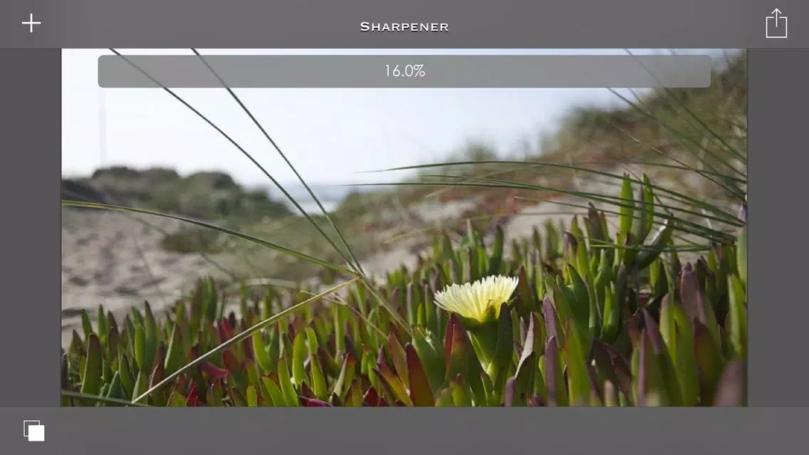 Sharpener - sharpen photos and blurry images, snaps Screenshots