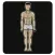Bodyfat Health Measurement