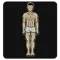 Bodyfat Health Measurement