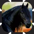 Horse Drive